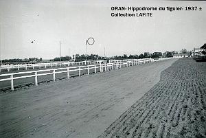 ORAN 1937 HYPPODROME DU FIGIER    (15)